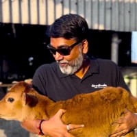 Sanjay Jain profile photo