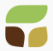 Seeds & Grains India logo