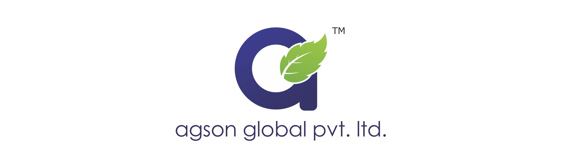 Agson Global logo