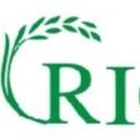 Riceman logo