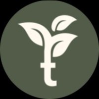 TransVeda logo