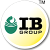 IB Group logo