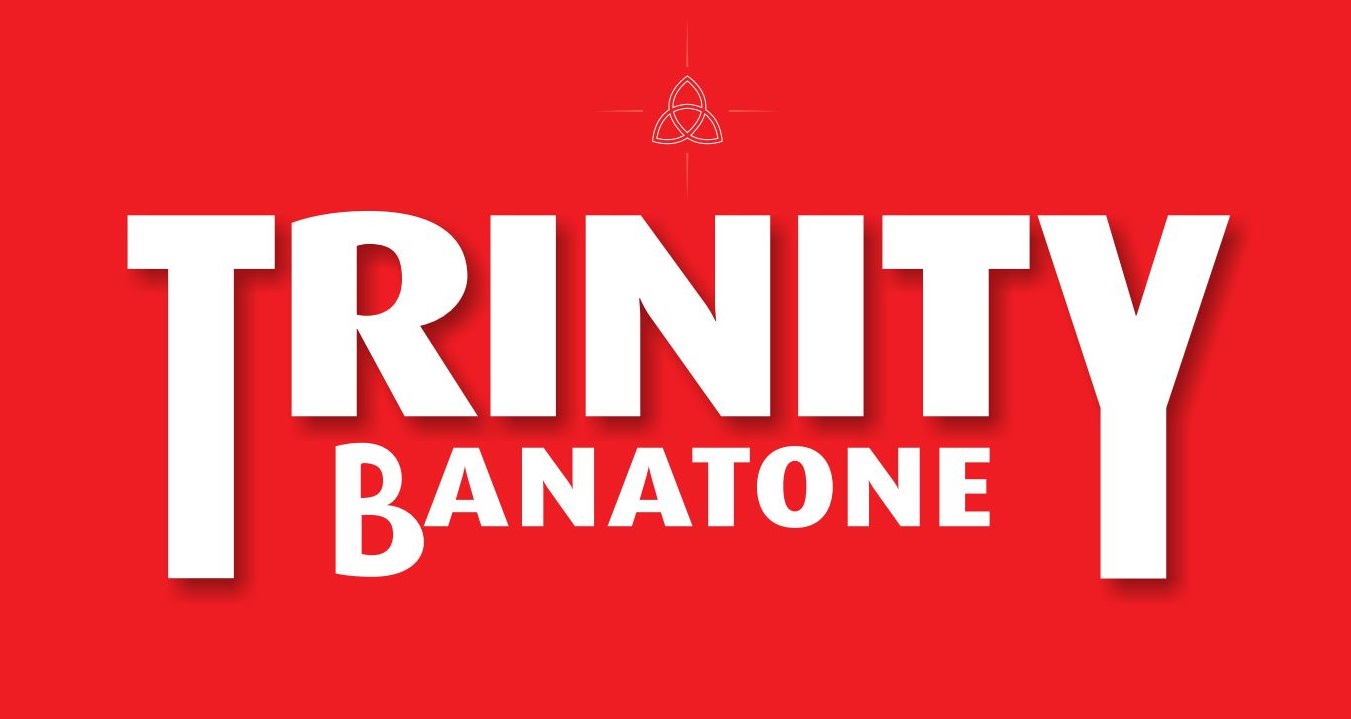 Banatone Trinity Industries logo
