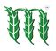 Corn Club logo