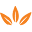 Megacity Flour Mills logo