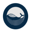 Rising Tide logo