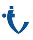 Vinayak Polycon logo