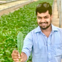 Mayank Gupta profile photo