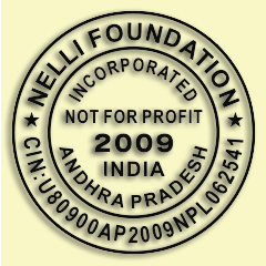 Nelli Foundation logo