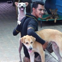 Haris Ali profile photo