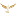 Ijetzz logo