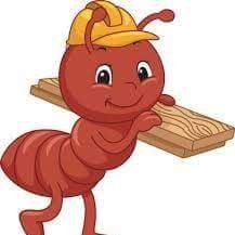 Ants Global Logistics logo