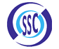 Super Sonic Group logo