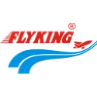 Flyking logo