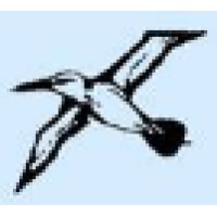 Seagull Global logo
