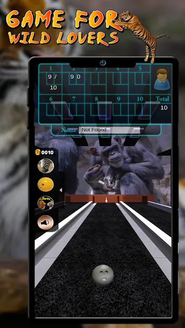 Bowling with Wild screenshot 4