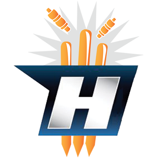 HitWicket logo