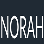 Norah AI logo
