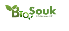 BioSouk Life Sciences logo