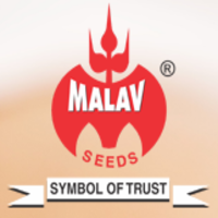 Malav Seeds logo