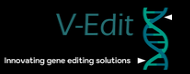 V-Edit logo