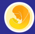 Oxyto logo