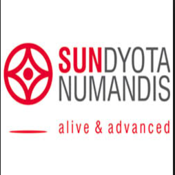 Sundyota Numandis logo