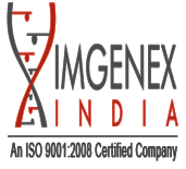 Imgenex India logo