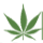 Hemp Foundation logo