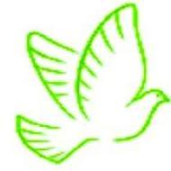Divit Nutraceuticals logo