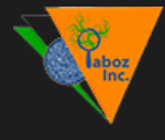 Laboz logo