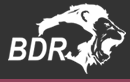 BDR Pharmaceuticals logo
