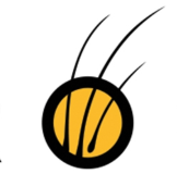 Hair O Craft logo