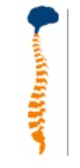 Advance Neurosurgery logo