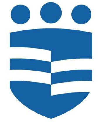 AIG Hospitals logo