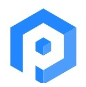 ParadigmIT logo