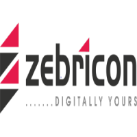 Zebricon Technology logo
