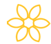 Daffodil Health logo