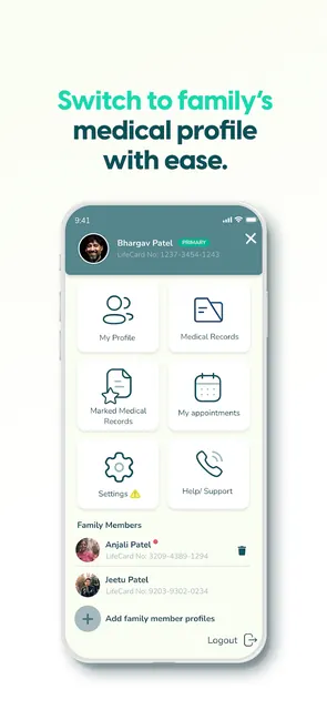 Lifemaan screenshot 2