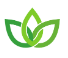 Vedicfy logo
