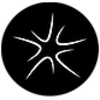 Neurostellar logo