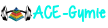 ACE-Gymie logo
