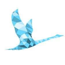 Saras-3D logo