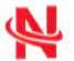 Netcam logo