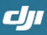 Cyglone India logo
