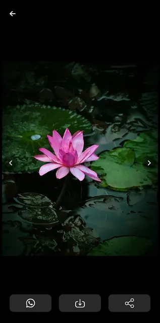 Save Status - Status App screenshot 3