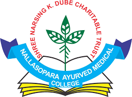 Shri Narsingh K. Dube Charitable Trust logo