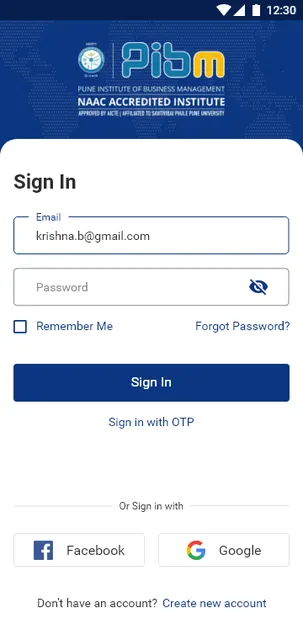 Online PIBM screenshot 2