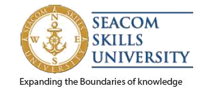 Seacom Skills University logo