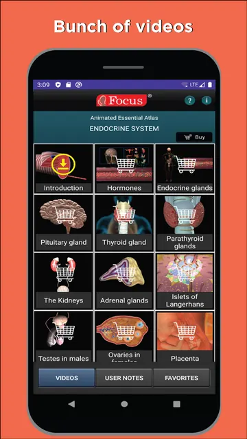 Anatomy and Physiology atlas screenshot 2